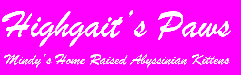 Header Graphic